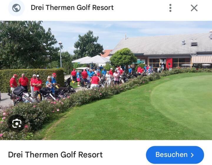 Vogesenblick Bad Bellingen