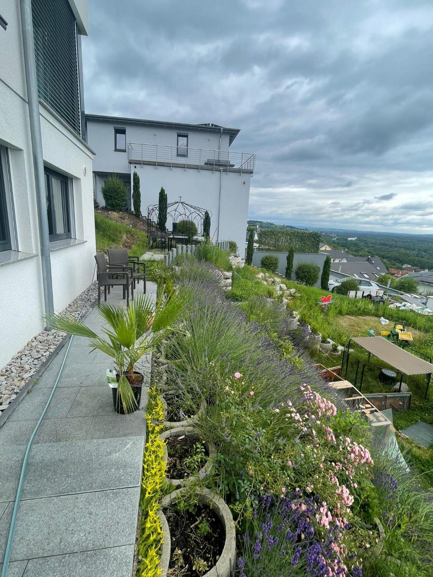 Vogesenblick Bad Bellingen